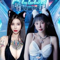 無損音質(zhì)超重低音中文DJ舞曲，土嗨車載串燒大碟，嗨到爆棚解壓必備